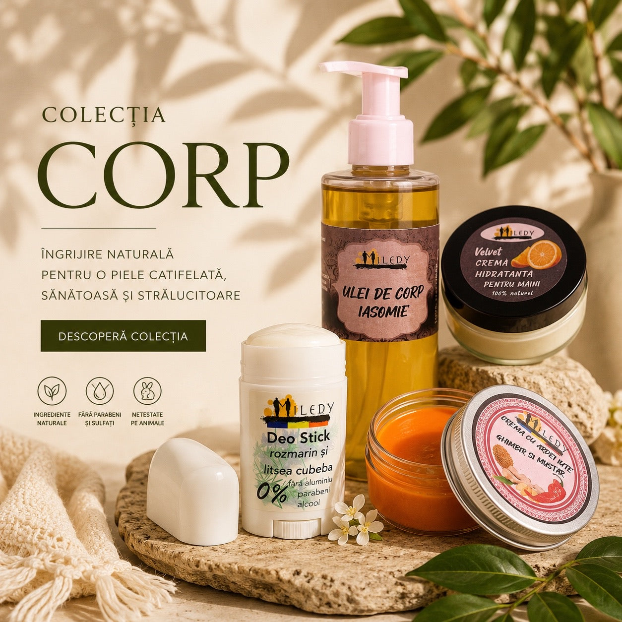 Corp