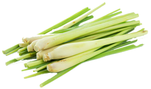 Ulei esențial de lemongrass