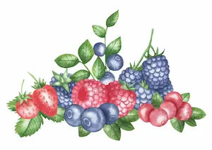 Fructe de padure