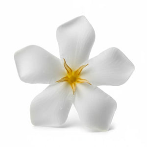 Flori de tiare