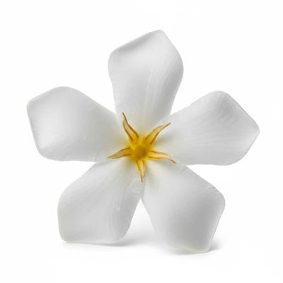 Flori de tiare